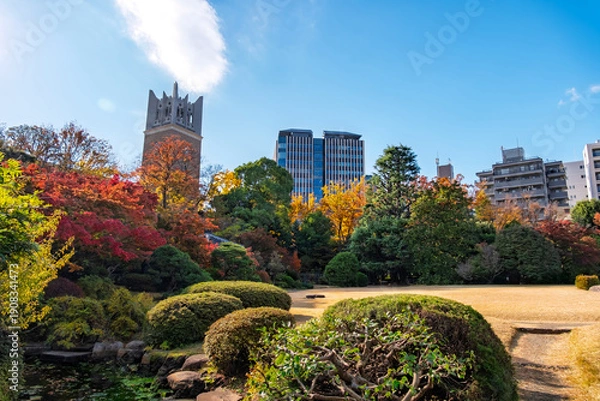 Obraz 東京都新宿区 早稲田大学・大隈庭園の紅葉と池越しに望む大隈講堂