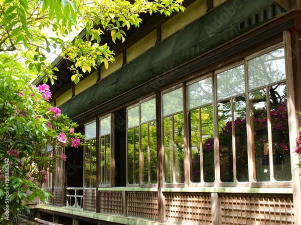 Fototapeta 古家の大正硝子に映えるツツジ