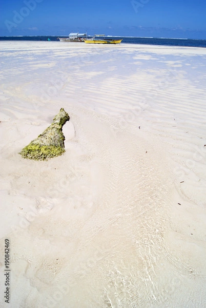 Obraz From Driftwood to Reef