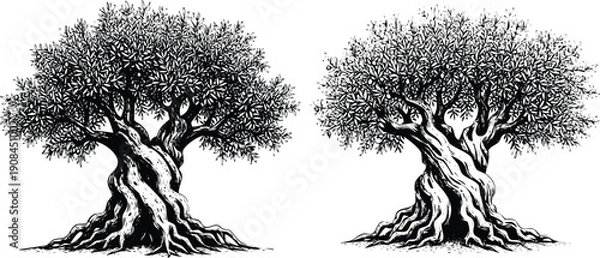 Obraz Two majestic trees standing side by side in a serene forest landscape. Vector