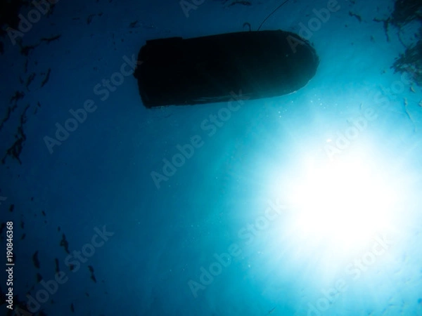 Fototapeta Under the sea 