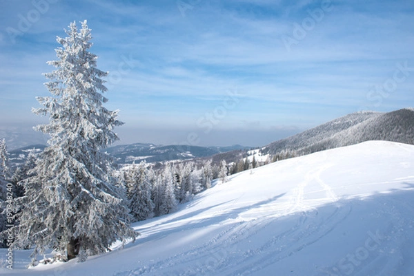 Obraz Picturesque winter in the mountains