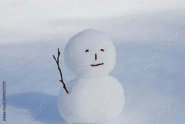 Obraz ゆきだるま