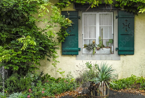 Obraz Fenster mi Kaktus