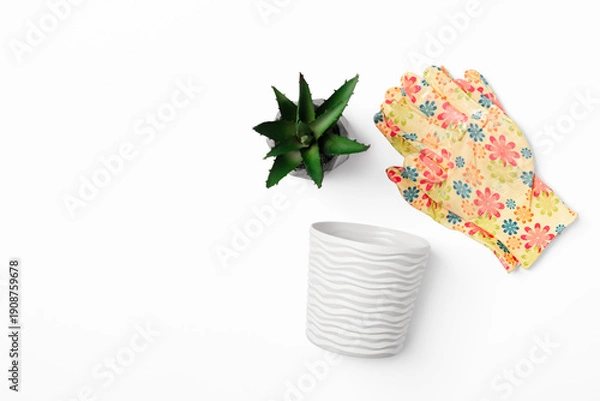 Fototapeta Gardening tools on white background