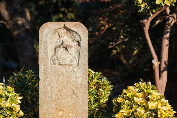 Fototapeta 屋敷林と石塔