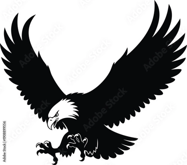 Obraz Screaming bald eagle in aggressive pose, wings spread wide