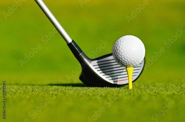 Fototapeta Let's golf today