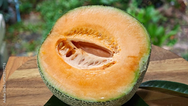Obraz Cantaloupe melon on nature background.