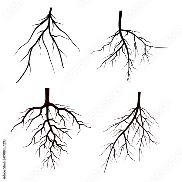 Obraz root silhouette collection