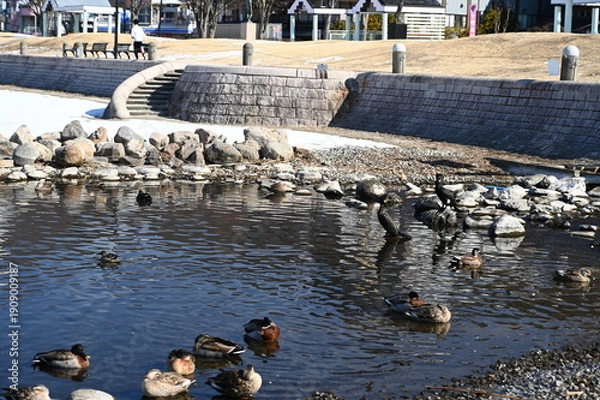 Obraz 凍結した諏訪湖