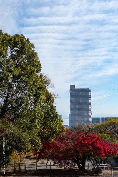 Obraz 公園から見える高層マンション　都市公園　滋賀県大津市皇子が丘公園