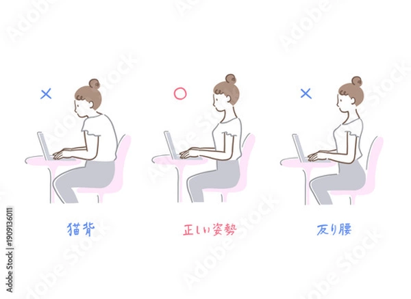 Obraz 猫背と反り腰と正しい姿勢でパソコンを操作する女性の比較イラストセット