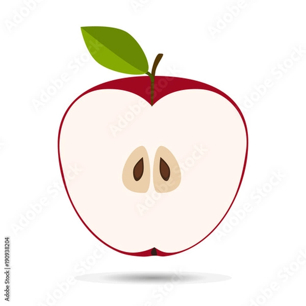 Obraz Red Apple Slice Vector Illustration.