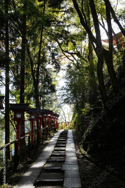 Obraz 秋の気配が感じられる鞍馬寺参道の木々