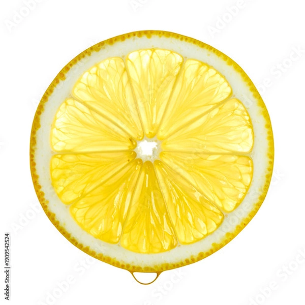 Fototapeta lemon slice isolated on transparent background