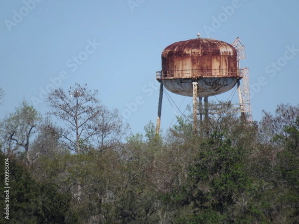 Obraz Past its prime