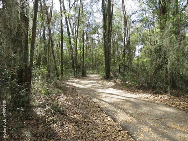 Obraz Peaceful pathway