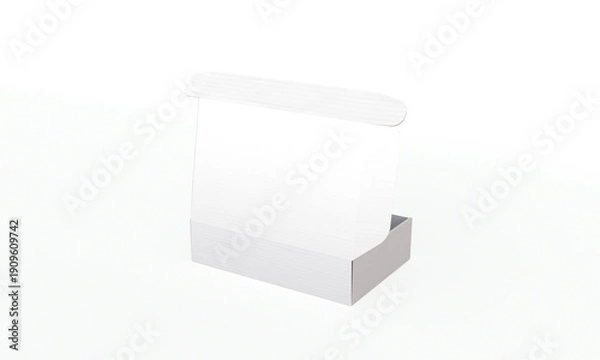 Obraz Open cardboard box