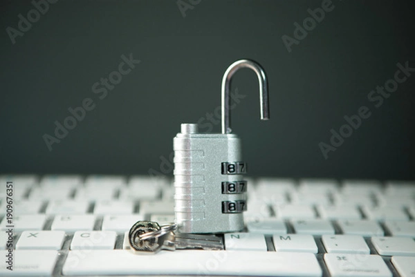 Fototapeta computer mouse and padlock with a computer keyboard.