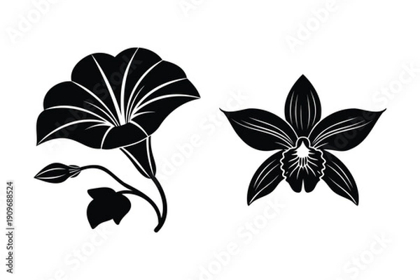 Obraz Simple Floral Design Elements