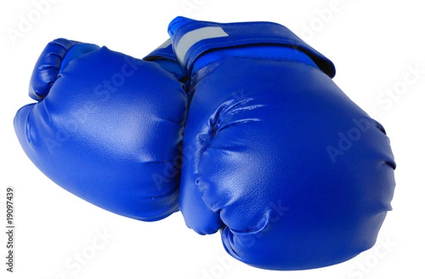 Obraz blue boxing gloves