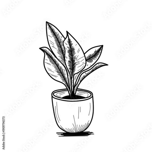 Obraz plant in a pot