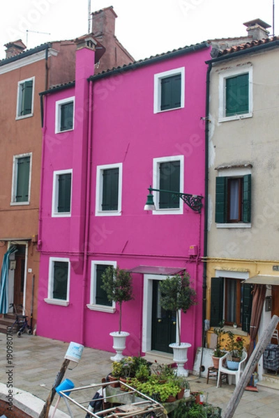 Obraz pink house