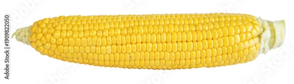 Obraz Épis de maïs