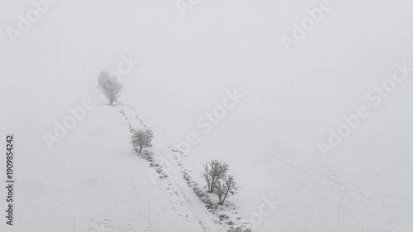 Obraz Winterlandschaft