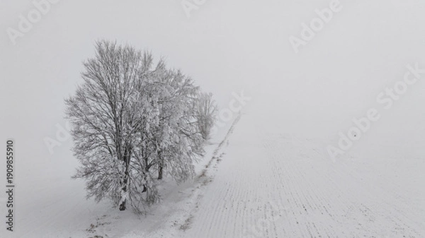 Obraz Winterlandschaft