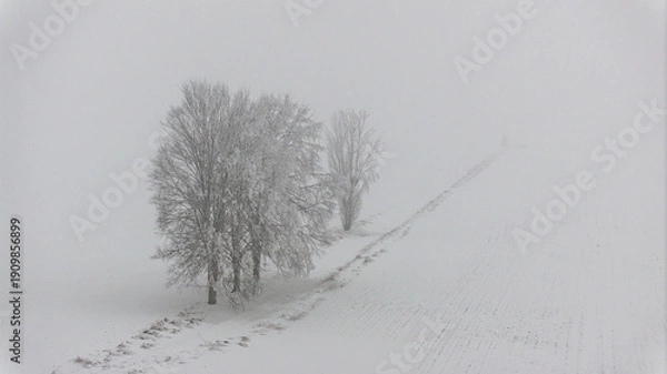 Obraz Winterlandschaft