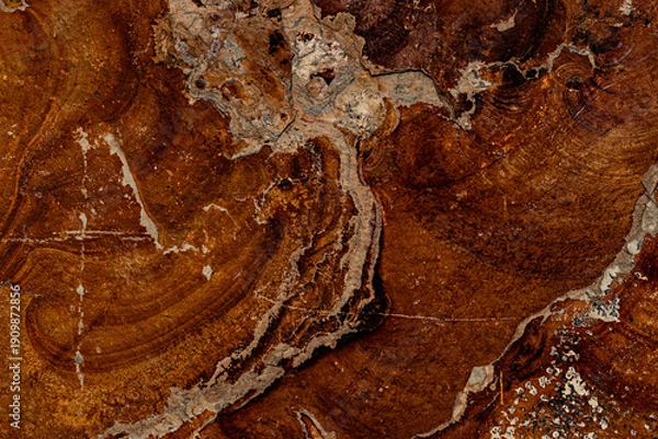 Obraz Oxidized volcanic stone exterior cladding texture background