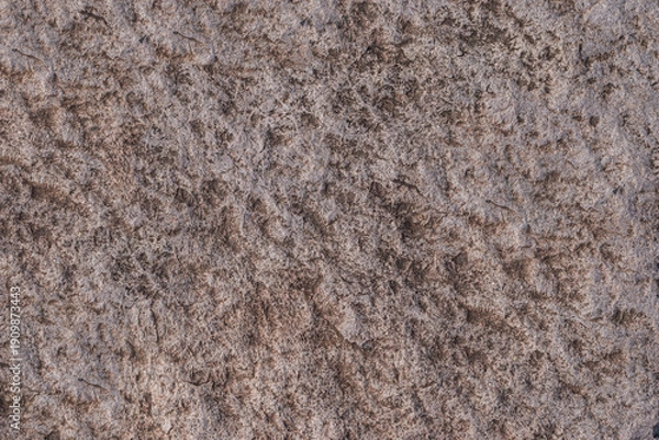 Obraz Rustic volcanic stone texture background for design architecture and games