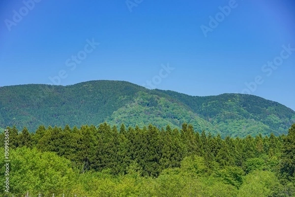 Obraz 初夏の爽やかな青空と連なる新緑の山々