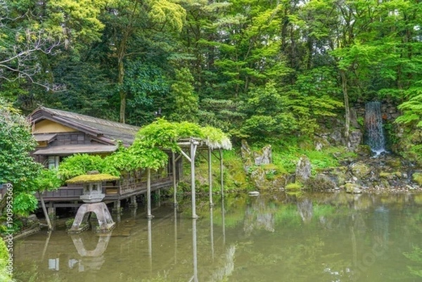 Obraz 兼六園で見た新緑に包まれる伝統的な日本庭園と池に佇む茶室