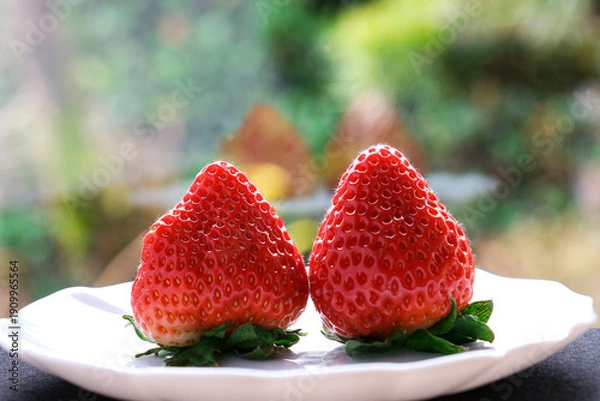 Obraz 採れたての赤くて甘いイチゴ
