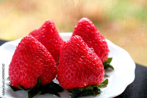 Obraz 採れたての赤くて甘いイチゴ