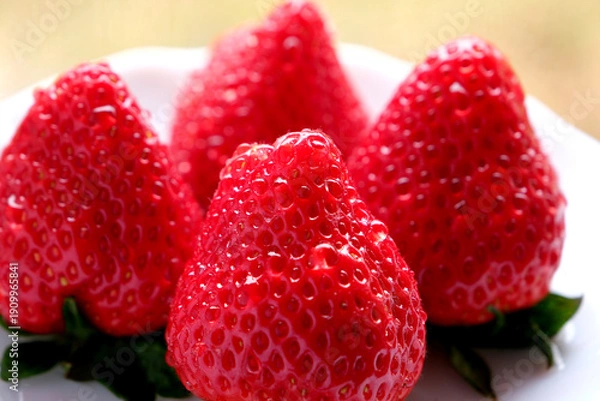 Obraz 採れたての赤くて甘いイチゴ