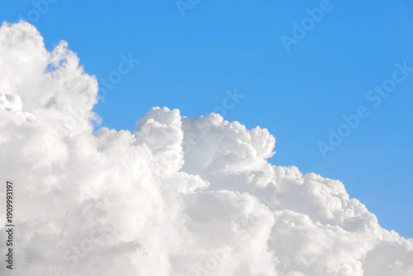 Obraz A large white cloud against a blue sky.