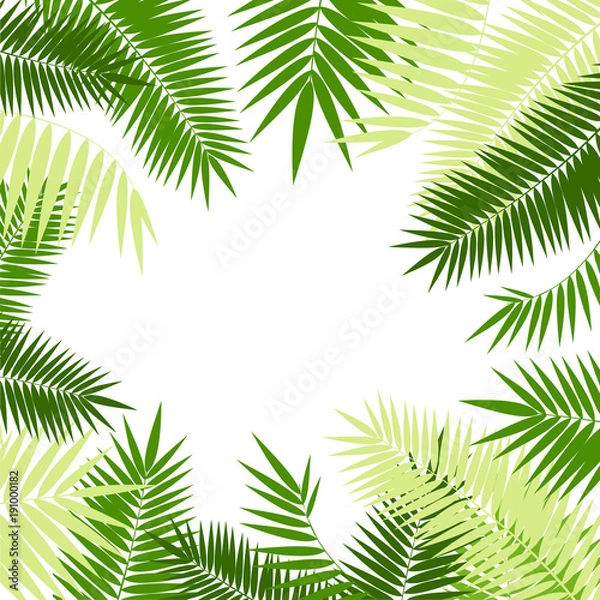 Fototapeta Realistic 3d Detailed Green Palm Leaf Frame. Vector