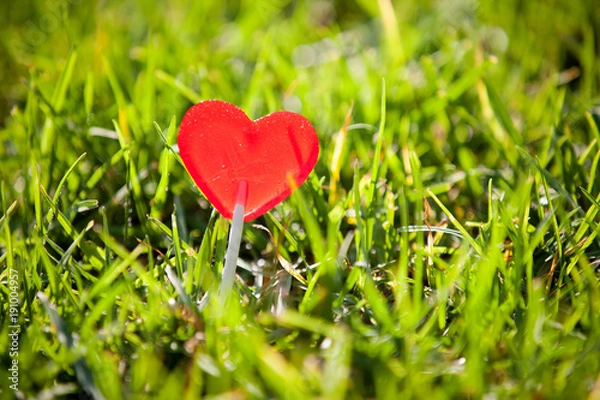 Fototapeta Heart in the wild