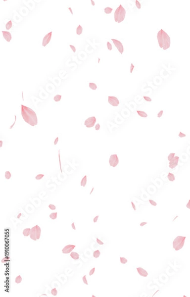 Obraz 背景素材_桜吹雪