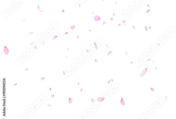 Fototapeta 背景素材_花吹雪_白背景