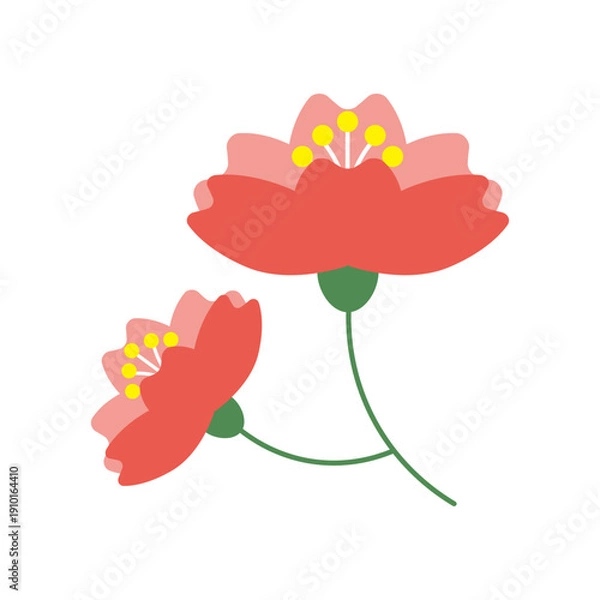 Obraz クローズアップされた横向きの可愛い桜の花のイラスト