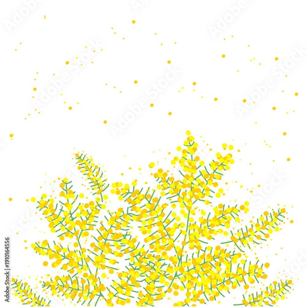 Obraz 満開の明るい黄色のミモザの背景フレーム素材