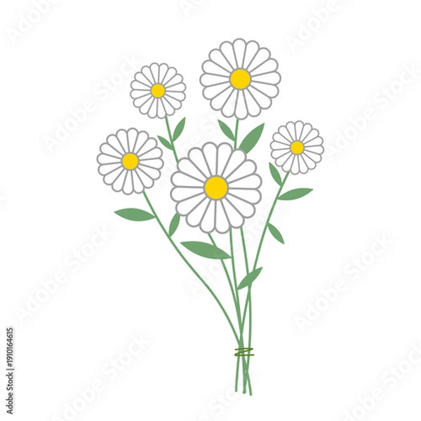 Obraz シンプルな線画の白い花のカットイラスト