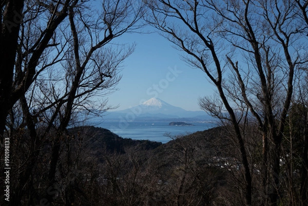 Obraz 木々に囲まれた富士山
