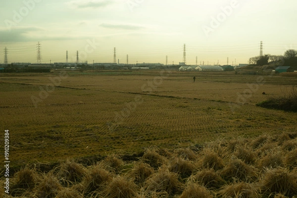 Obraz 冬の田園風景