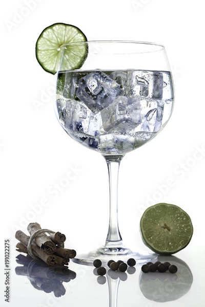 Obraz Gin tonic and cinnamon